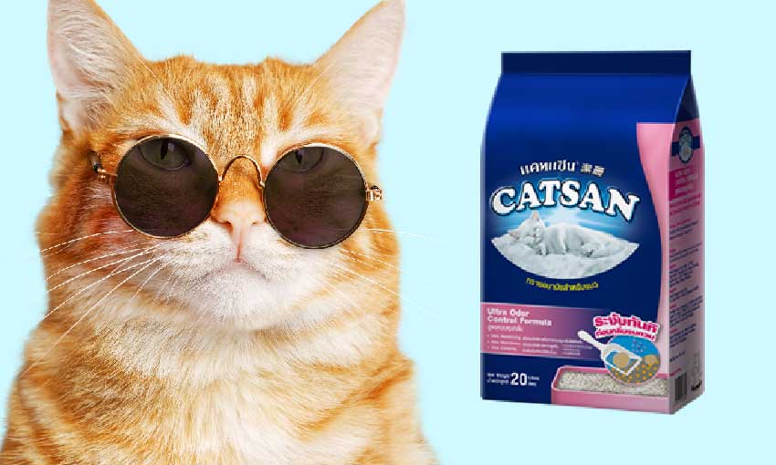 ทรายแมวแคทแซน (catsan)