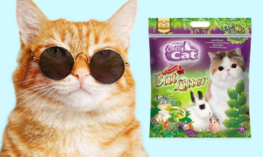 ทรายแมวเต้าหู้ (Cattycat)