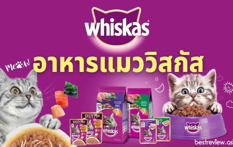 อาหารแมววิสกัส (Whiskas)